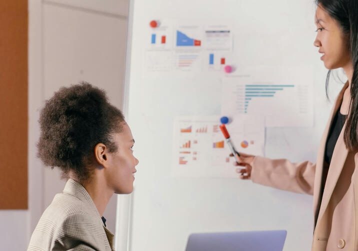 Effective Governance and Compliance in Action: Collaborating for Organisational Growth. Two women in a meeting, one standing next to a flip chart while the other is seated, discussing governance and compliance.